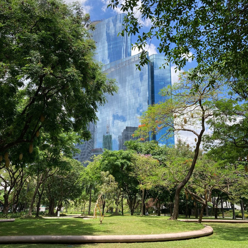 ayala triangle park